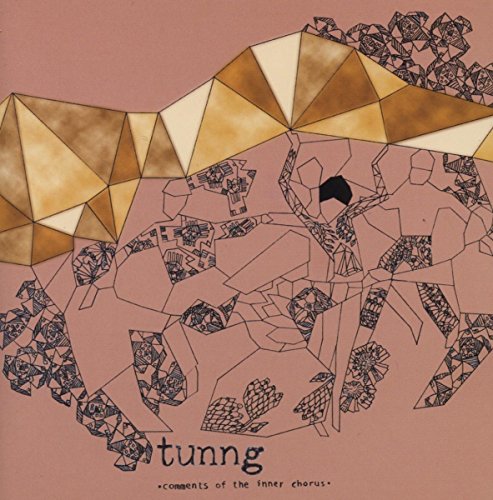The image shows a CD cover with a mosaic artwork and text. For accessibility purposes, a suitable alt text could be: "CD cover with mosaic artwork and 'tunng' text."