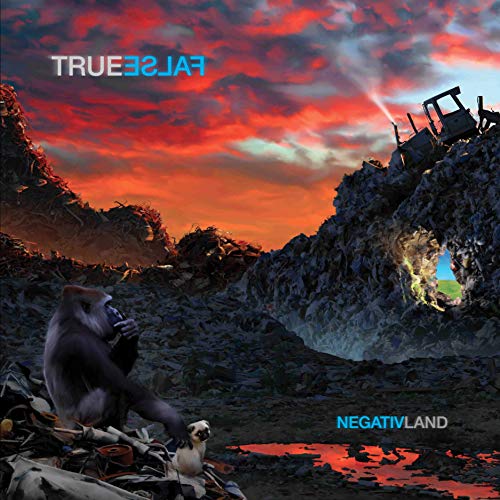 Various - True False [VINYL]