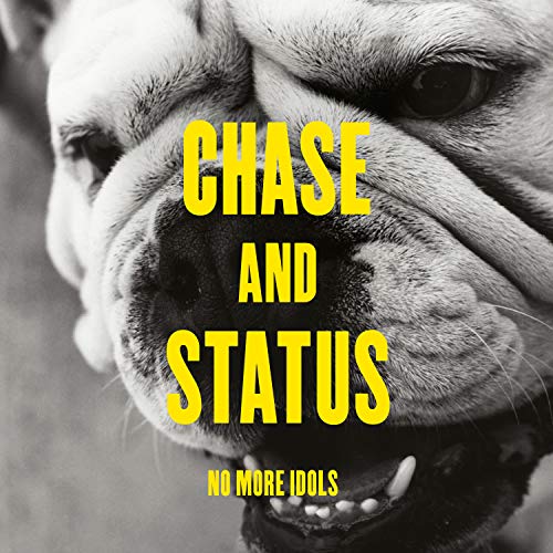 Various - No More Idols [VINYL]
