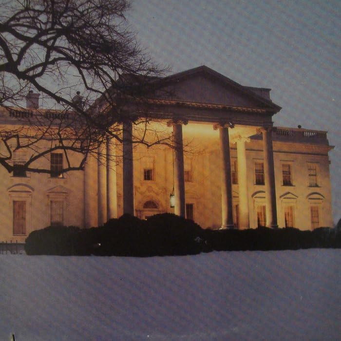 Dead C - The White House [VINYL]