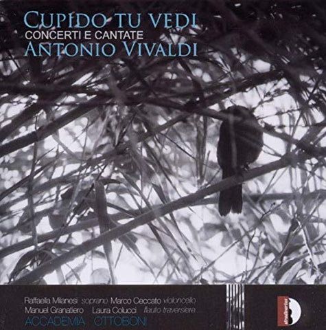 Accademia Ottoboni - VivaldI: Cupido tu vedi [CD]