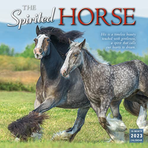 The Spirited Horse 2023 Calendar (WALL 16 MONTH)