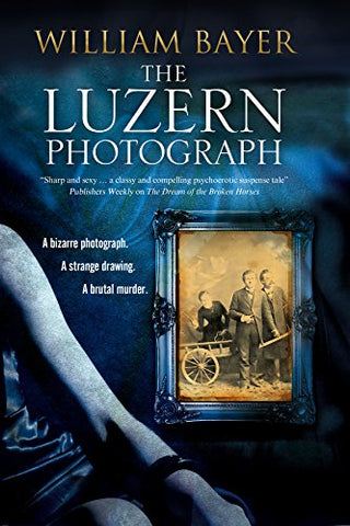 The Luzern Photograph: A Noir Thriller (Large Print)