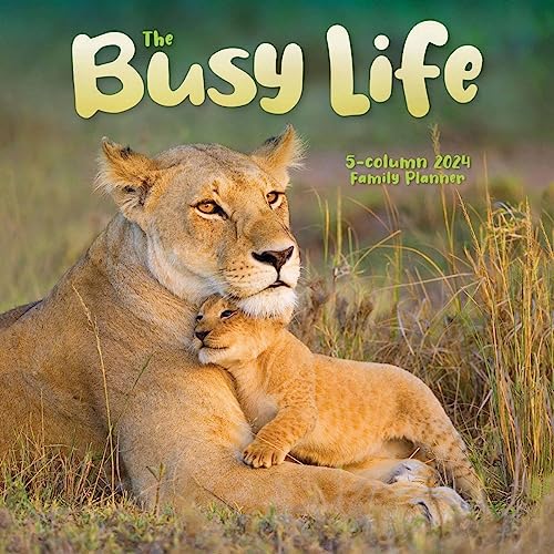 Busy Life Wall Planner 2024