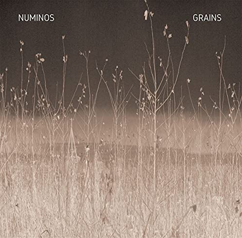 Numinos - Grains [VINYL]