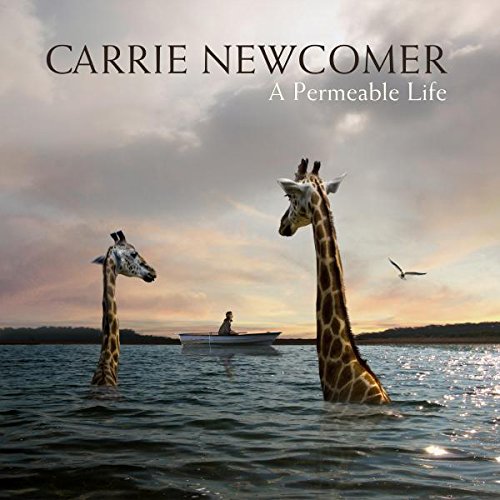 "Album cover with two giraffes in water, person in a boat in the background."