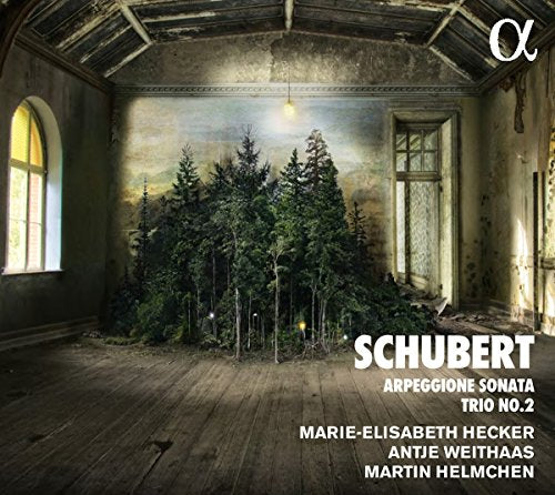 A CD cover featuring a dimly lit, abandoned room with trees inside, white text overlay.