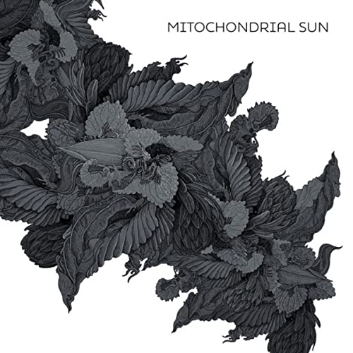 Mitochondrial Sun - Mitochondrial Sun [CD]