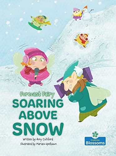 Soaring Above Snow (Forecast Fairy)