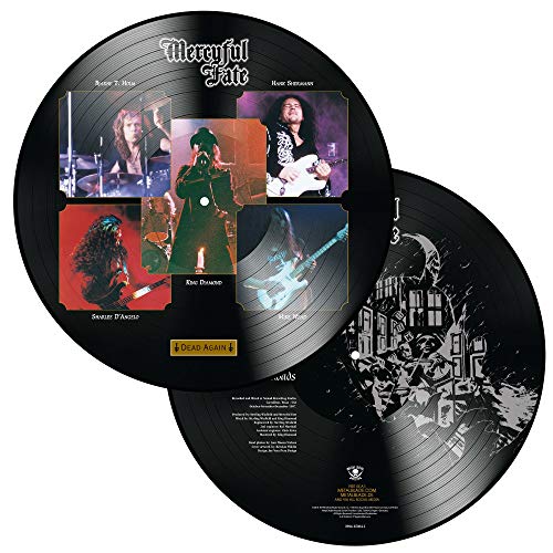 "Two black vinyl records, one with band images, against a white background."