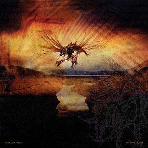 "Album cover art: dark, abstract figure with outstretched tendrils against an orange sky."