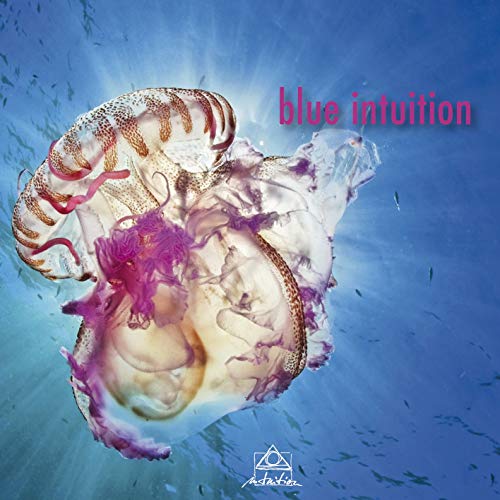 "Album cover featuring a jellyfish with 'blue intuition' text on a blue background."