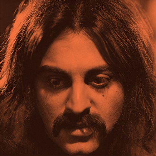 Close-up portrait of a man with long hair and a mustache.