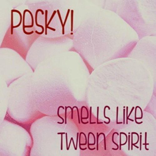 A pink background with marshmallows and red text: "Pesky! Smells like Tween Spirit".