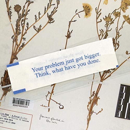 A vinyl record sleeve with a fortune cookie slip on top of dried flowers.