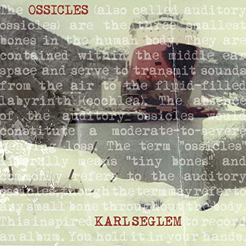 The image is an album cover with a faded, grayscale image of a person's head.