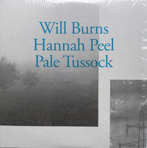 Will Burns & Hannah Peel - Pale Tussock [7 inch] [VINYL]