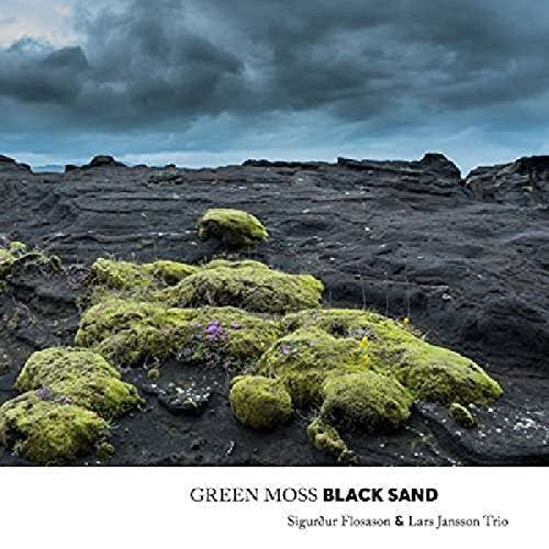 "CD cover featuring a landscape with green moss on black sand under a cloudy sky."