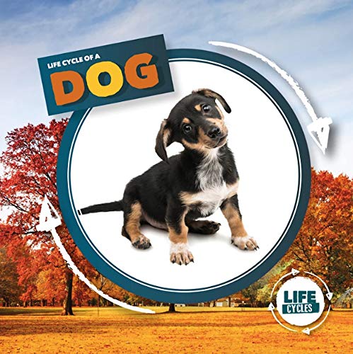 Dog (Life Cycle Of A) (Life Cycles)