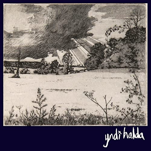 Yndi Halda - ENJOY ETERNAL BLISS [VINYL]