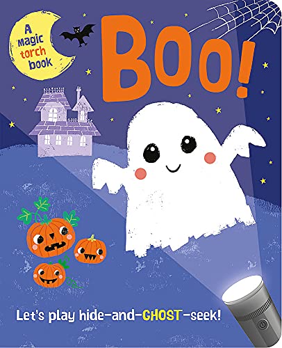 Children's book with colorful illustrations and a torch or flashlight on the cover.