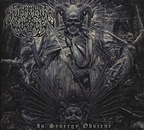 Suffering Souls - In Synergy Obscene [CD]