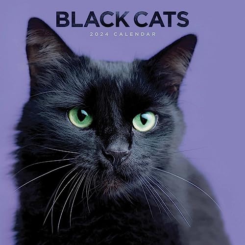 Black Cats - Schwarze Katzen 2024: Original Carousel-Kalender [Mehrsprachig] [Kalender]