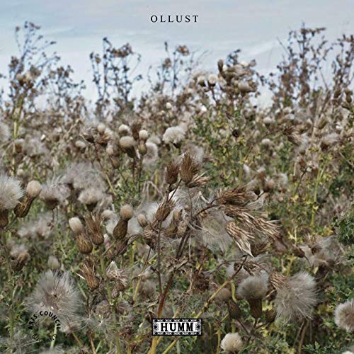 "CD cover featuring a field of dry plants and flowers with the word 'OLLUST'."