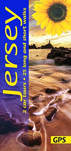 "Book cover with 'Jersey' title, beach scene, and a large sunflower on blue background."