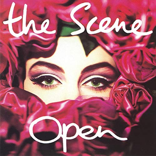 Vinyl album cover featuring a woman's eyes surrounded by pink fabric.