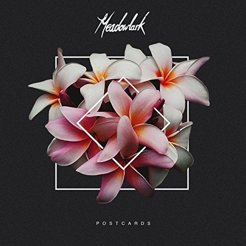 Album cover with pink flowers on a black background, titled "Meadowlark - Postcards".
