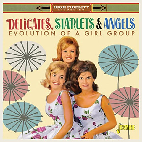 Delicates  Starlets & Angles - Evolution Of A Vocal Group [CD]