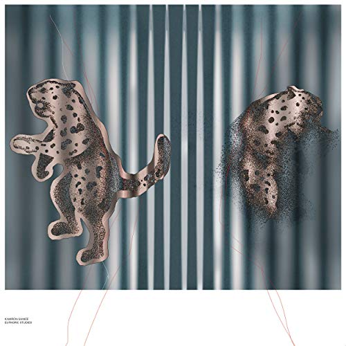 Kamron Saniee - Euphoric Studies [VINYL]