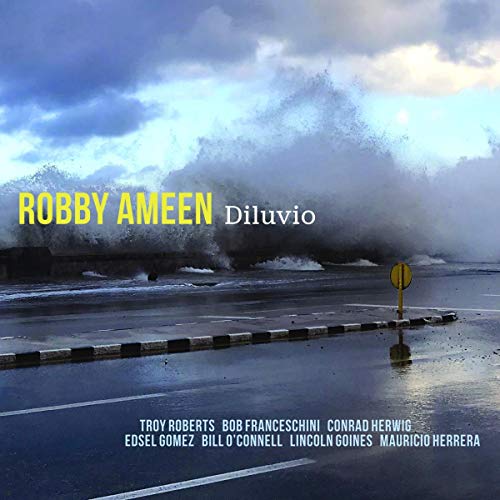 "Album cover with a large wave crashing onto a road, with artist and title."