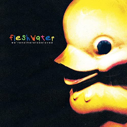 Fleshwater - We're Not Here To Be Loved [VINYL]