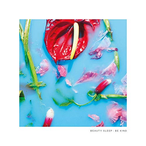 A red anthurium flower floats on blue water with scattered pink petals around it.