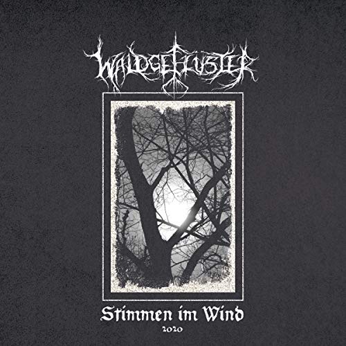 Various - Stimmen Im Wind 2020 (+cd) [VINYL]