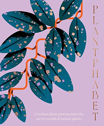 Plantphabet: A stunningly illustrated A-Z celebration of popular indoor plants, for fans of Plant Society, Leaf Supply and Plantopedia: A Technicolour Journey into the Secret World of Indoor Plants