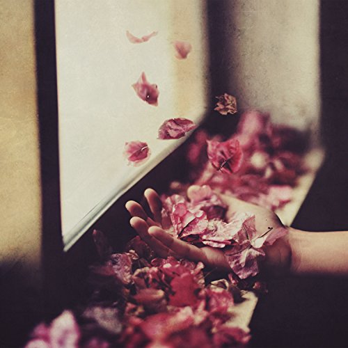 A hand holds pink rose petals as they fall from a window.