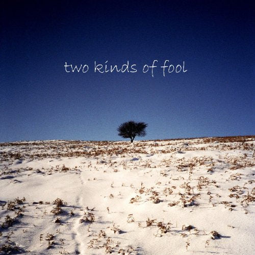 The alt text for the image is: "Album cover with a snowy field and a lone tree."