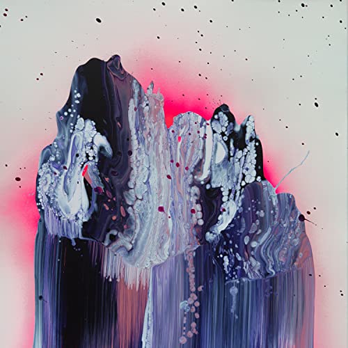 Goose - DRIPFIELD [CD]