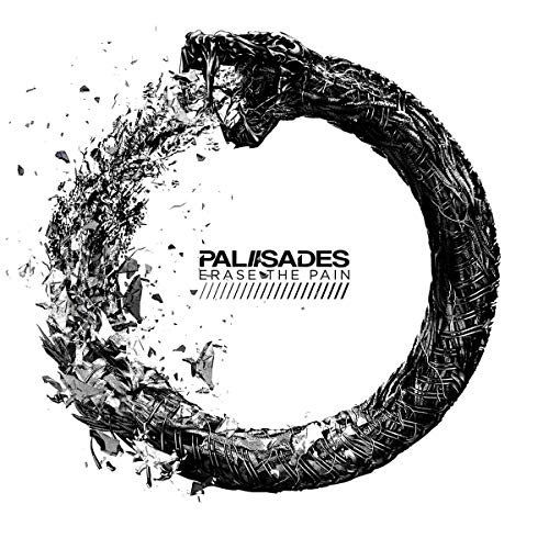 "Black vinyl record cover with shattered circle and 'Palisades Erase The Pain' text."