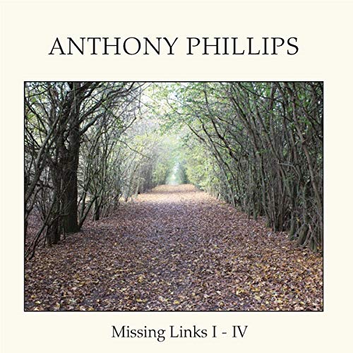 "Album cover with a forest path and fallen leaves, titled 'Missing Links I-IV'."