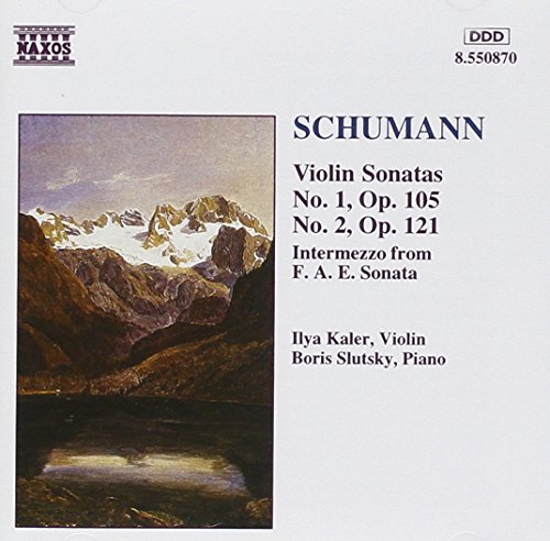A CD cover with a mountain landscape painting and text describing the music content.