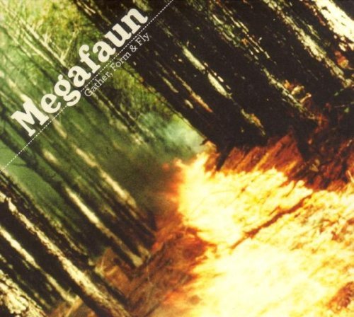 "CD album cover with forest fire and 'Megafaun' text."