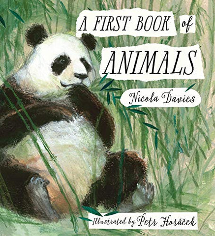 A First Book of Animals: 1