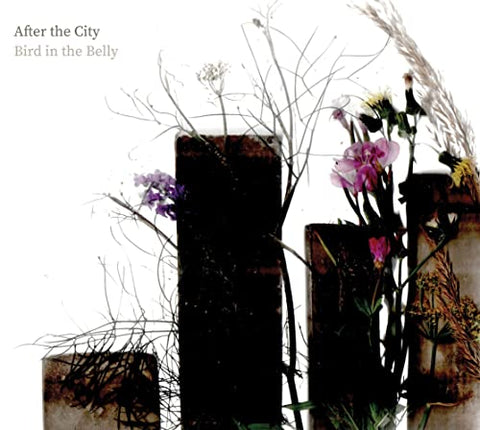 Bird In The Belly - After The City [CD]