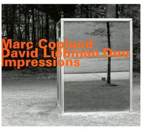 Marc Copland; Dave Liebman - Impressions [CD]