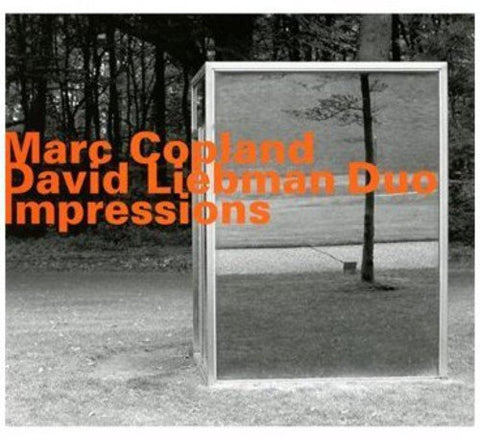 Marc Copland / Dave Liebman - Impressions [CD]