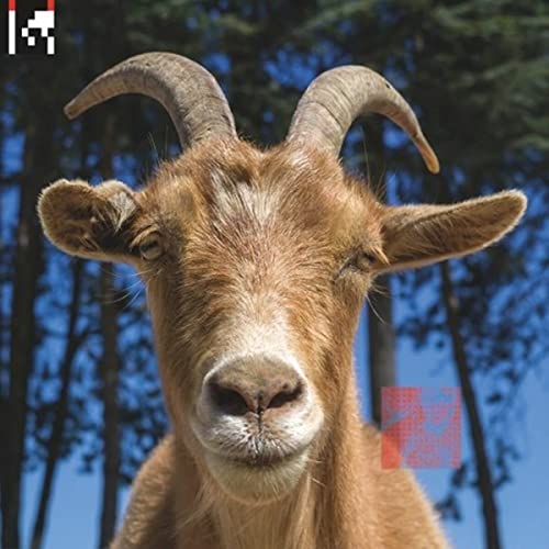 Various - .dev [VINYL]